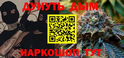 индика Лесосибирск