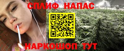 индика Лесосибирск