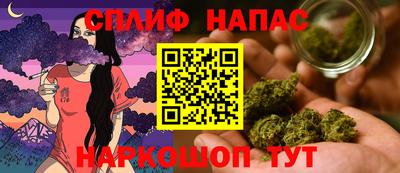 мдпв Ливны