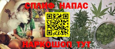 мдпв Ливны