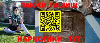индика Лесосибирск
